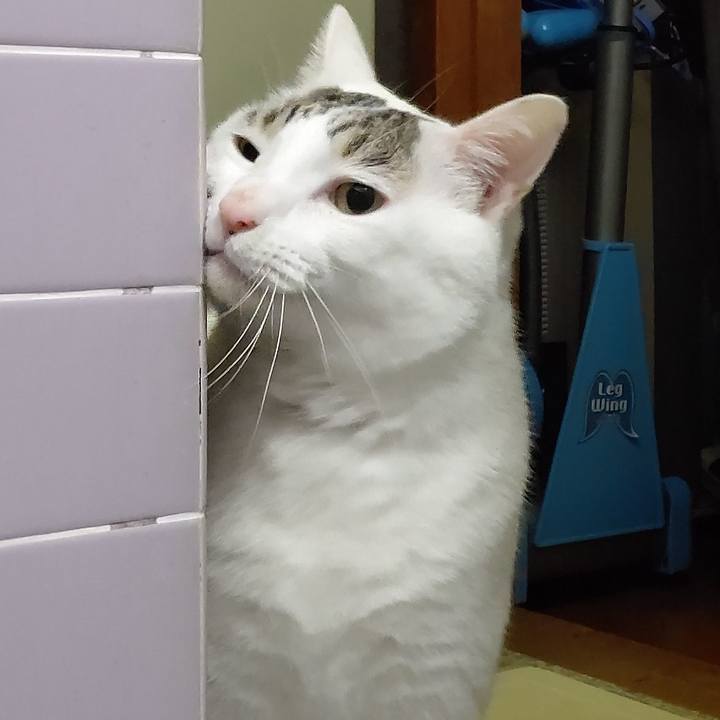 Df742a41 aa40 482d 9ae2 95a1736d4315 1575359626396