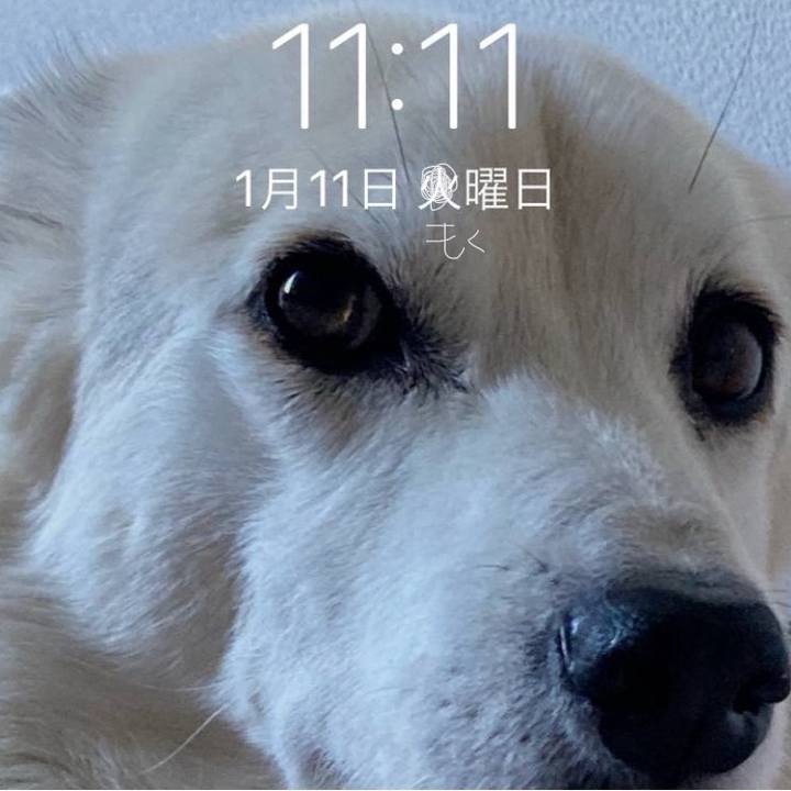 Df74632d 6594 4238 b488 16aa18650376 1704939612873