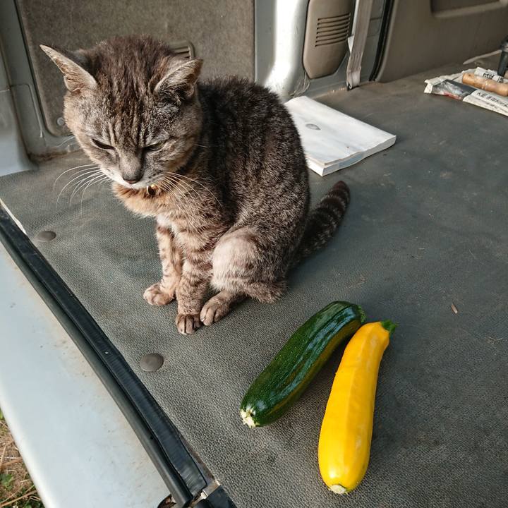 Df747681 4a8f 427f ad37 0e09f99786da 1592943723555