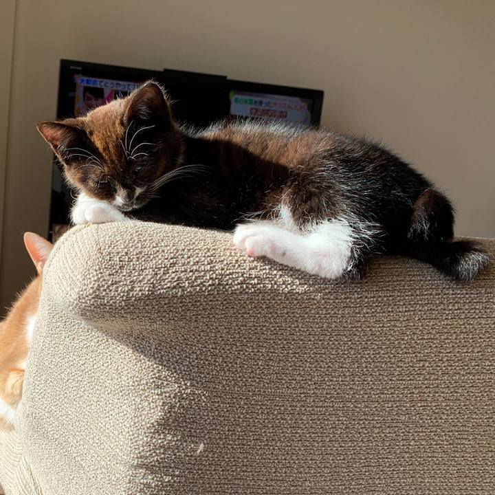 Df74815e 12a1 4502 b1ac 4cf9027cc196 1579347027329