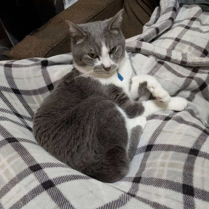 Df7487be 9d7f 4856 bb41 82f007043820 1770901623013