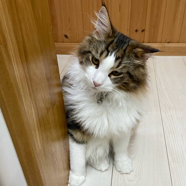 Df749509 8b33 4792 8332 7ecd537f296d 1642159455974