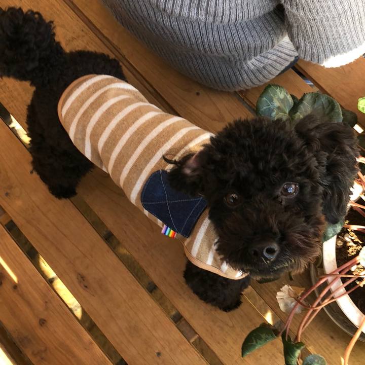 Df74a428 6cc7 4a10 bf33 672a964e12e5 1513994887048