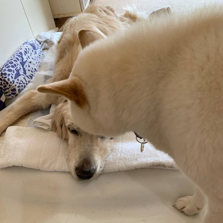 Df74aece 34e1 4432 a6db 80c333e0d414 1645053899677