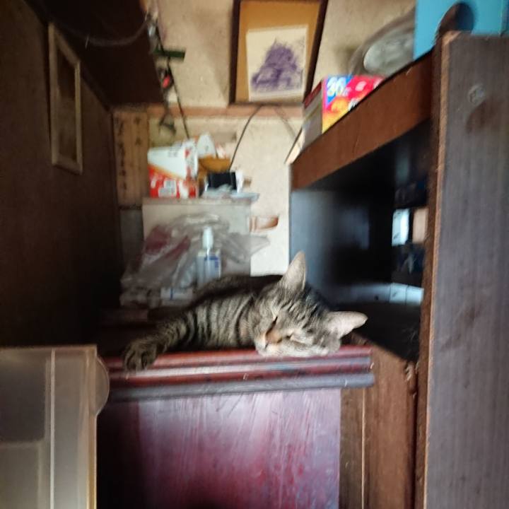 Df74ba2f 4400 4488 933d edf62c3b0865 1659331118947