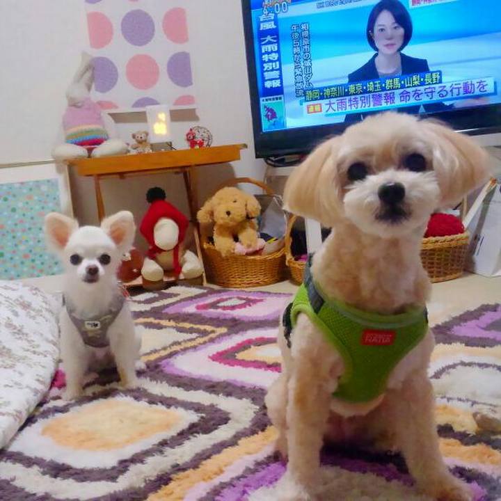 Df74bedc f460 4cb3 96ed d96afc8e5b0e 1570864189917