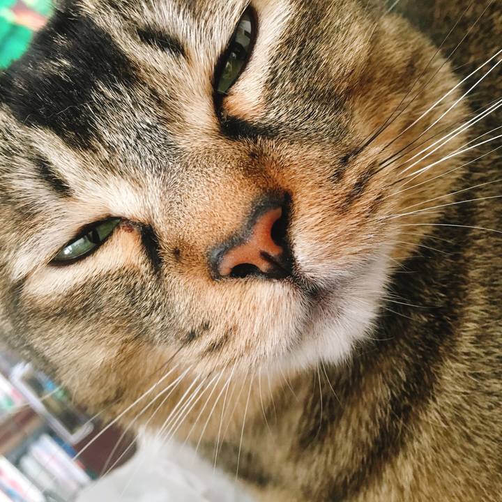 Df74d888 d71e 4fad 8fff 8a73d5aeea3d 1584817511550