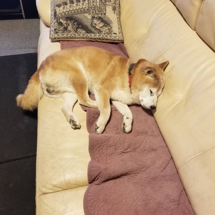 Df74dc11 daf9 40e0 ace4 981c98cb54d8 1763196264541