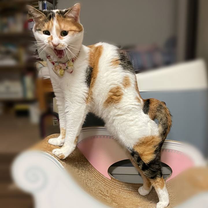 Df74f3cc c026 44e9 b2b7 726866782762 1647263523273