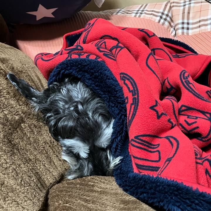 Df74fad3 9707 43f3 a977 686e6a54a1b5 1731758701181