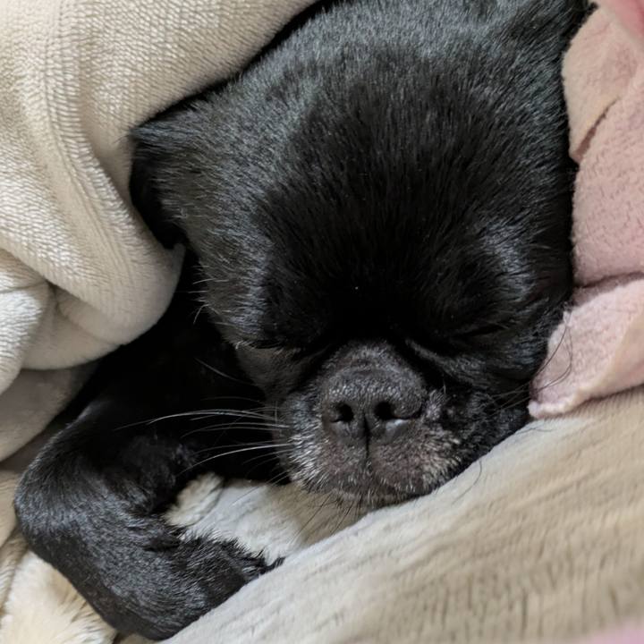 Df750574 be1f 4c6d 9453 6e443b830cae 1767453714669