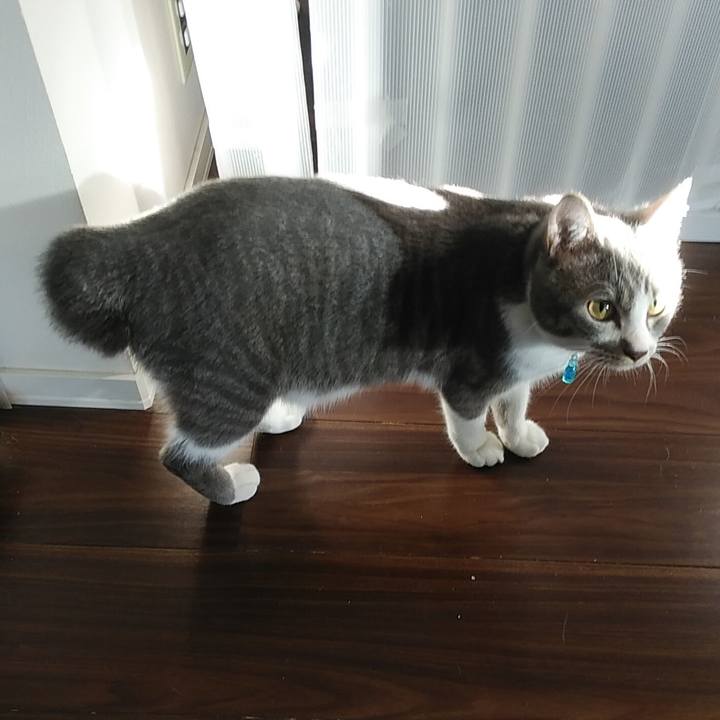 Df753337 ad59 4c51 857e 69d4a01cd23b 1581118872889