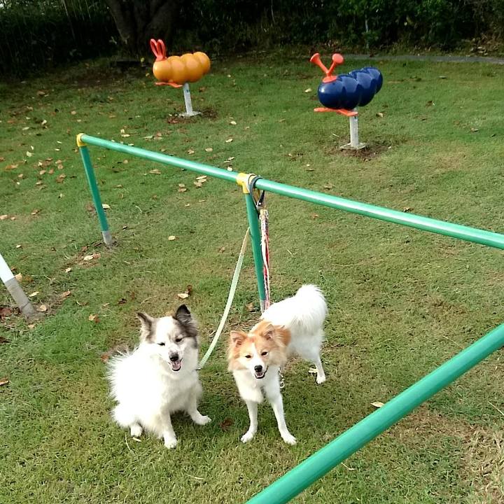 Df754ca1 89c6 4dc5 a78a 73ca272cb983 1511265122422