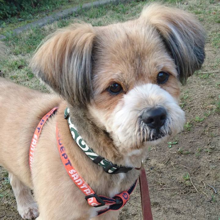 Df755833 5a93 4c95 a6dc e98505f86d5c 1522106655766