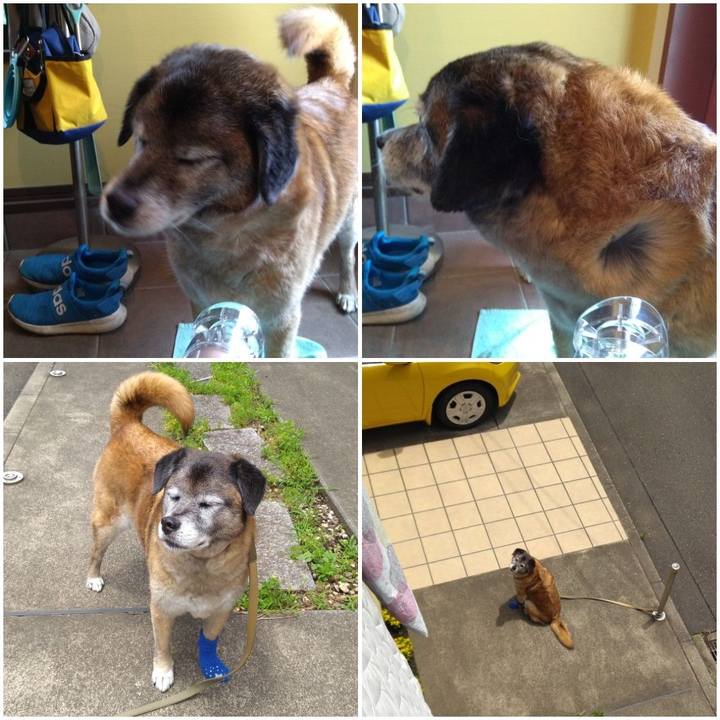 Df758c3d 1b67 4e0e 9e53 40a8720c0a70 1560220489365