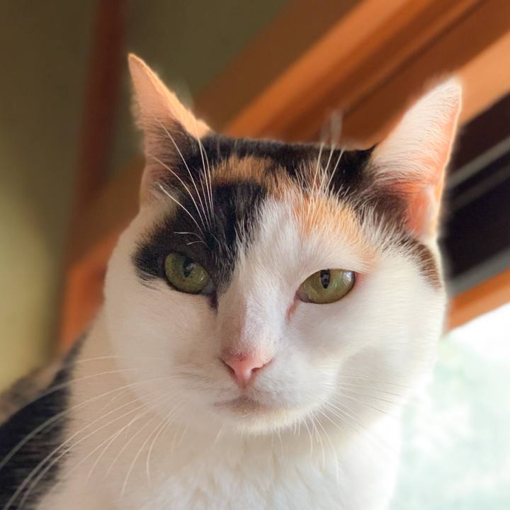 Df759778 b6c6 49e4 a8e2 74991c79d579 1574125310974