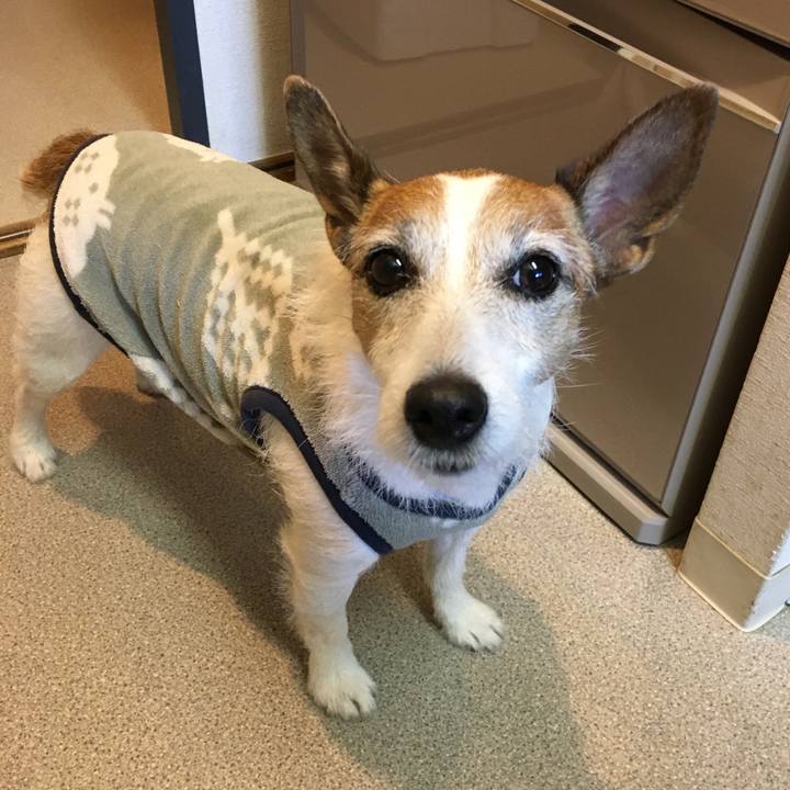 Df75ed6d 9c8f 451f 84c9 32961f7cf8db 1637971083085