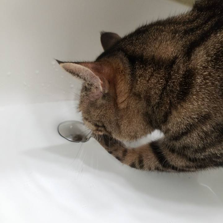 Df76117d 526b 49eb afb8 9a834ccb78a0 1564863929879