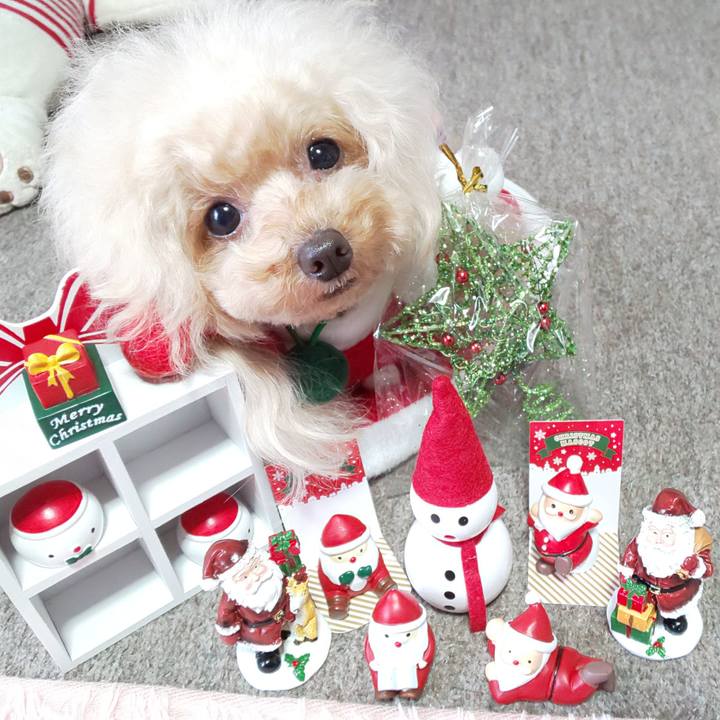 Df762161 ae5d 4e34 9a31 8b5ce7dc2ad3 1576149790356