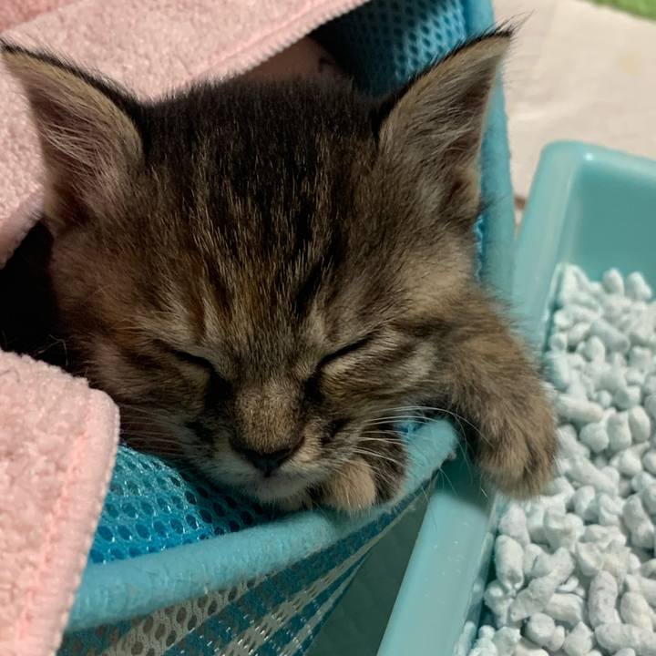 Df762567 7f8c 4224 a6b9 6d775ae8e37d 1588604544796