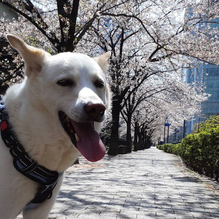 Df76483a 9894 4268 ad98 1ead80d737b5 1680323766462