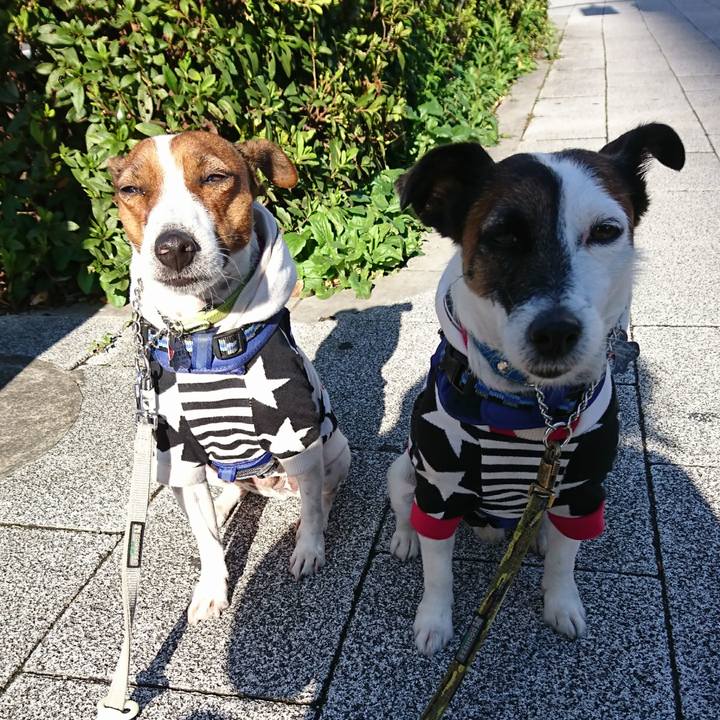 Df76555c 3f3b 4bf9 a52e 702dbedff3fd 1604537827248