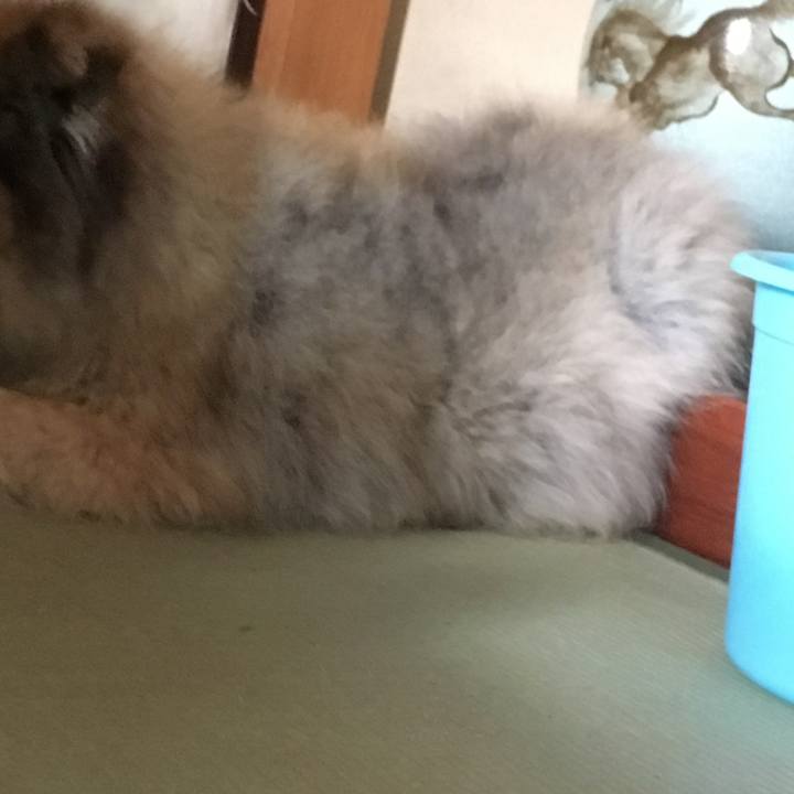 Df76639e 0401 4039 919a 293abc8e9ae3 1613394520417