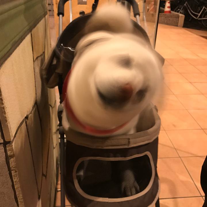 Df76771c 7a96 4e1a 8782 e3732af3c751 1525864848978