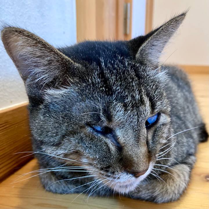 Df769008 1beb 4737 80ad 43c41899261b 1658538187247