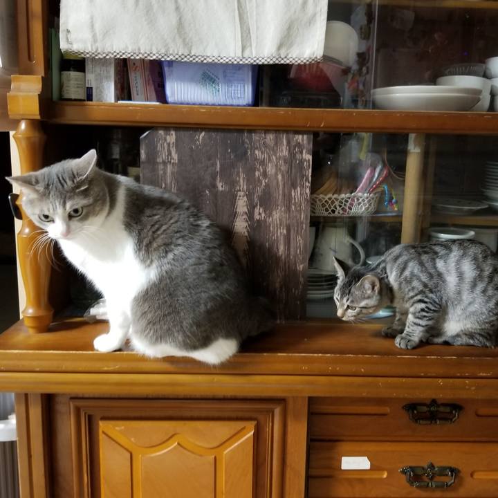 Df76a505 75cb 49d3 a4ee 2946f0f91e04 1668179198188