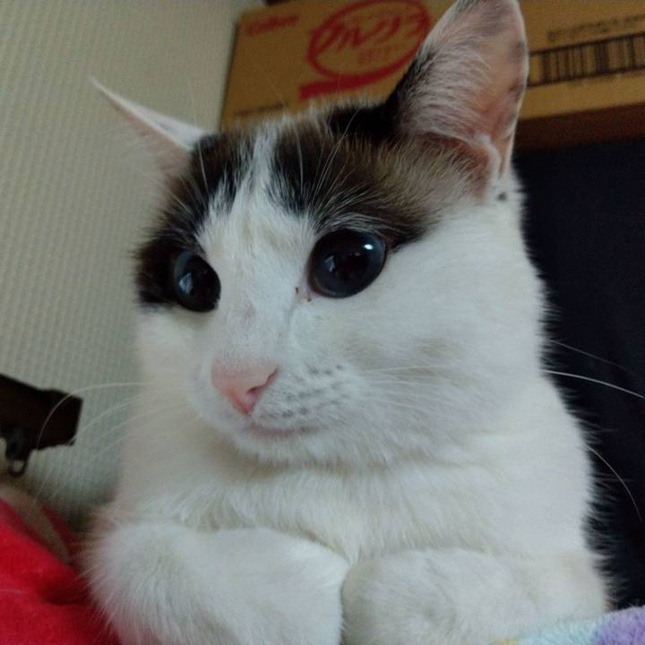 Df76a6a6 639d 4cd3 8c03 16c835716913 1550958737613