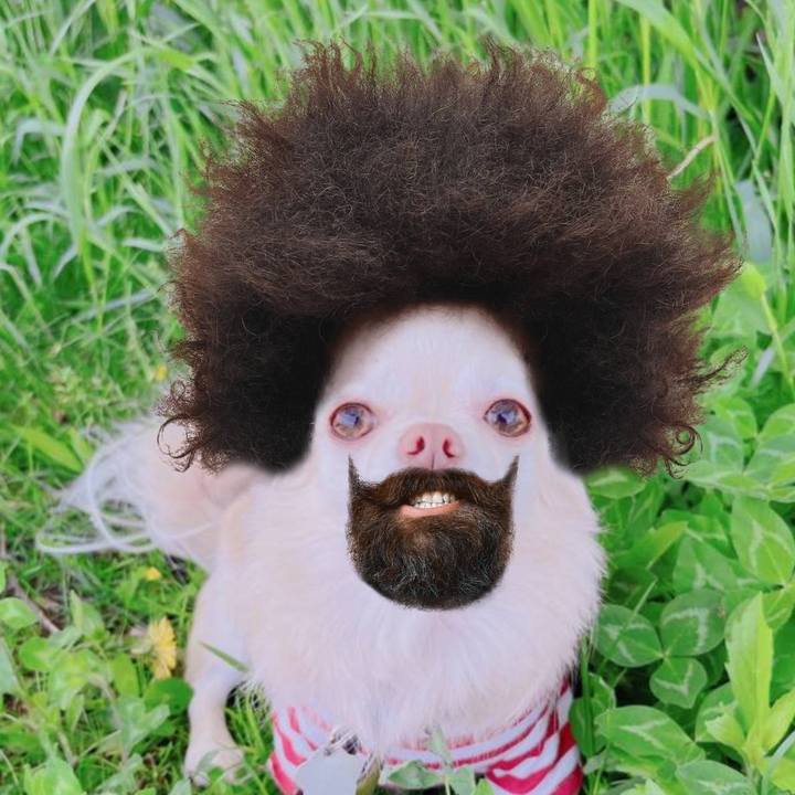 Df76caeb 72fe 4ebc 8f8b 3a37ffc51baf 1684503980245