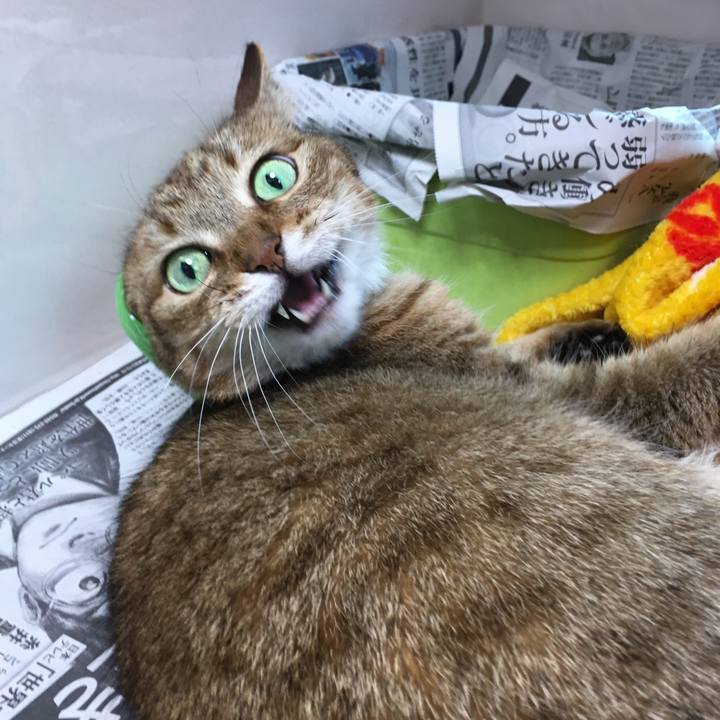 Df76dd25 eb93 4afd 997c 71b84817d6d0 1521086680633