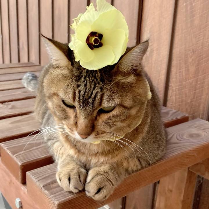 Df76fedd 4055 45c3 8c3f ab1b5300b34b 1691623009142