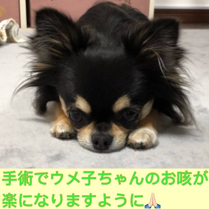 Df770184 5a1c 4615 9ff8 1fc77545092b 1585169718493