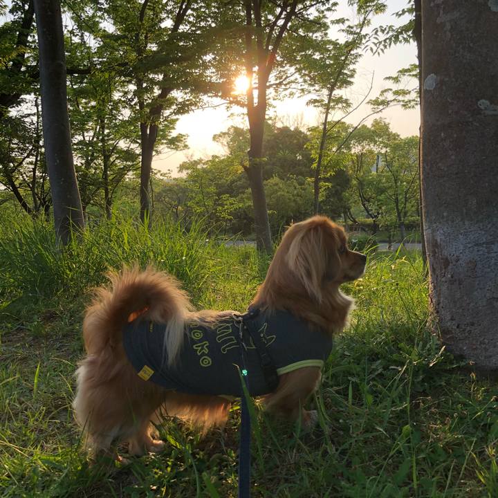 Df771dfb bbf8 4012 982a 8dc0ae1f9bd7 1525123218446