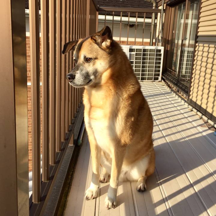 Df77216e 9a2b 47d9 8908 4db5a539121f 1578960471335