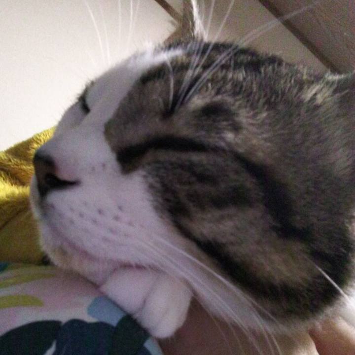 Df77614a ac0b 4f50 94e2 947d3a6699e0 1637534837588