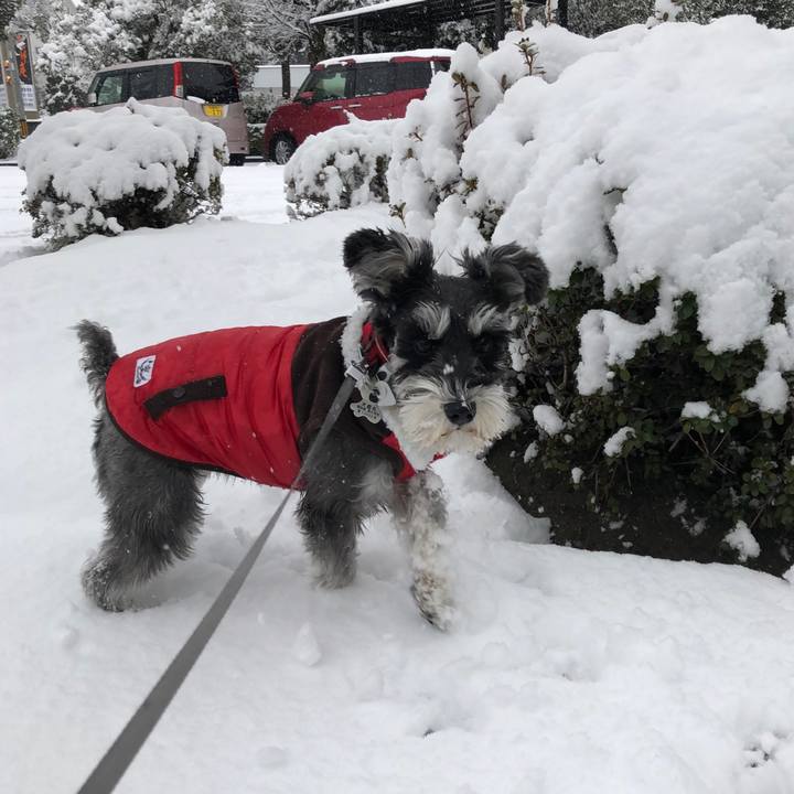 Df776176 4d1c 485c a3bc 9b6f96b02add 1671844518847