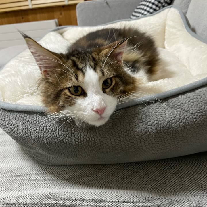 Df7781d7 9ff6 41af 980c 28cf50a1a040 1636626223412