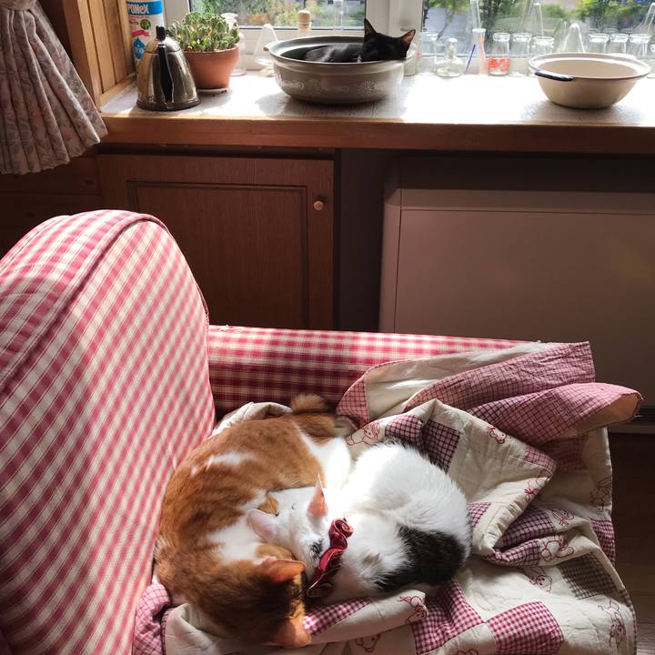 Df778837 6ef0 4936 a3f5 e8d664750beb 1568468767762