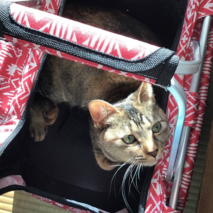 Df77e13c 8e2b 4070 8087 2c8fb620ca3c 1615796294040