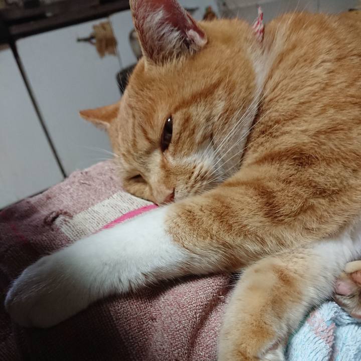 Df77ed7d eff3 4abc a5a5 6e855e26ee9c 1607216852740