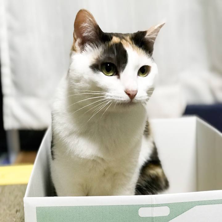 Df78014e 8731 4d43 8c4d ea58d539e3a1 1530235984091