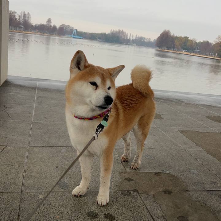 Df78024a 598a 45aa ae5d bde2f05bbdab 1770812091149