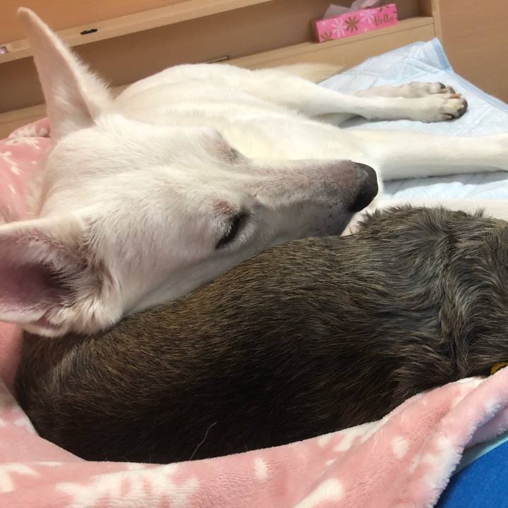 Df780925 6824 4fb5 9d41 4c144dbe2859 1535172930472