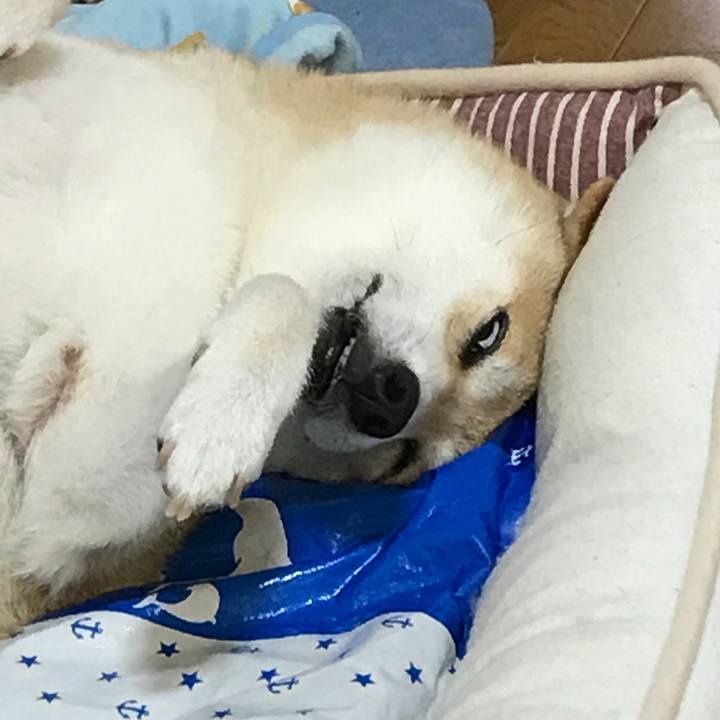 Df7860a8 5401 43e3 9a13 0157b6b63aaf 1533038072401