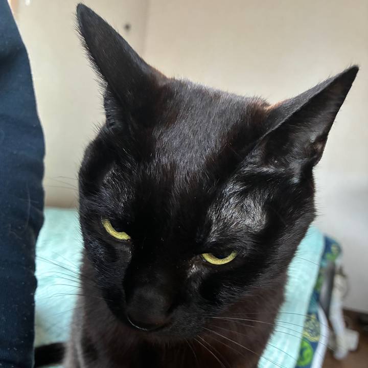 Df787536 3be8 4fe9 bedc bbfde7e55024 1745612360190