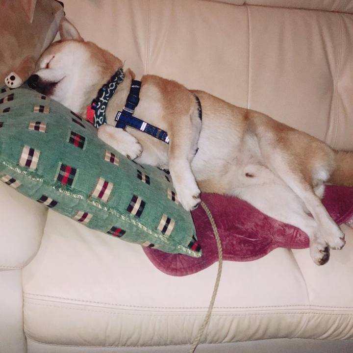 Df787612 bd59 43f2 860e df340634d2a3 1542345859953