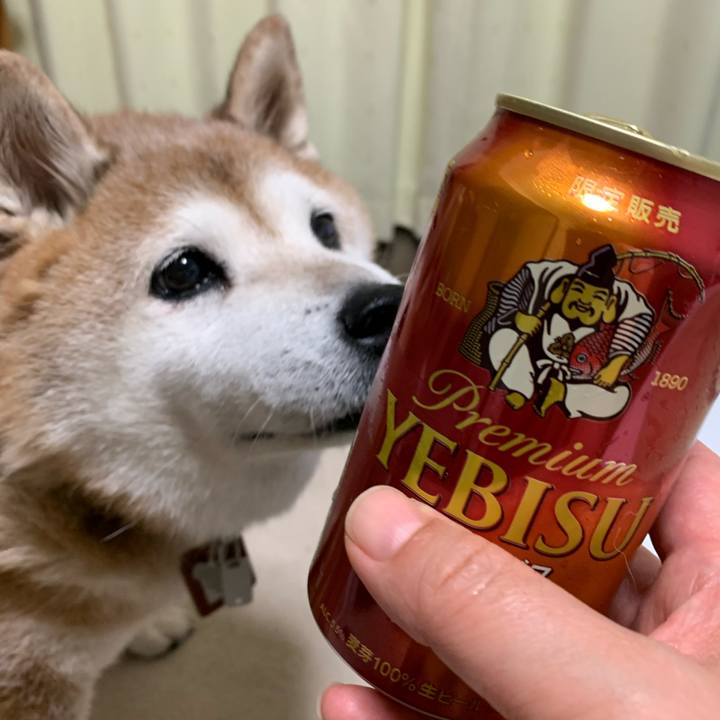 Df787ded 6a9b 4c37 8681 7bb4eee3a2e0 1599212213930